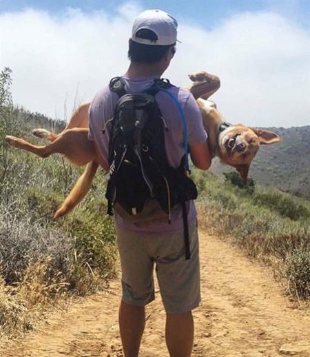 Z�bavn� zvieratk�  