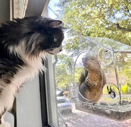 Z�bavn� zvieratk�  