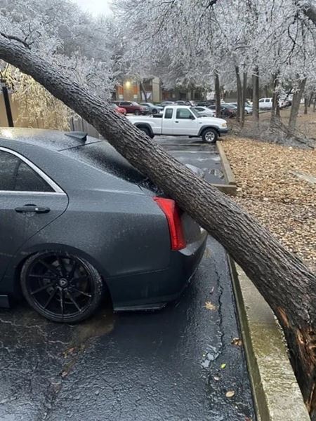 Nehody sa st�vaj�  