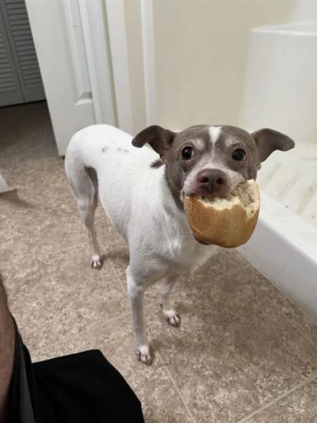 Nehody sa st�vaj�  