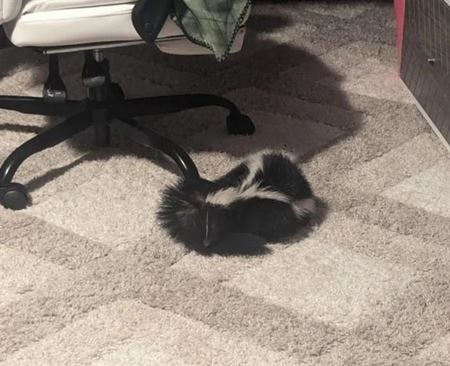 Nehody sa st�vaj�  