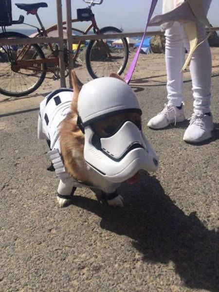 Poviano�n� v�kendovky  