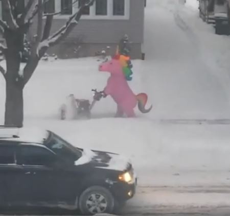 Poviano�n� v�kendovky  