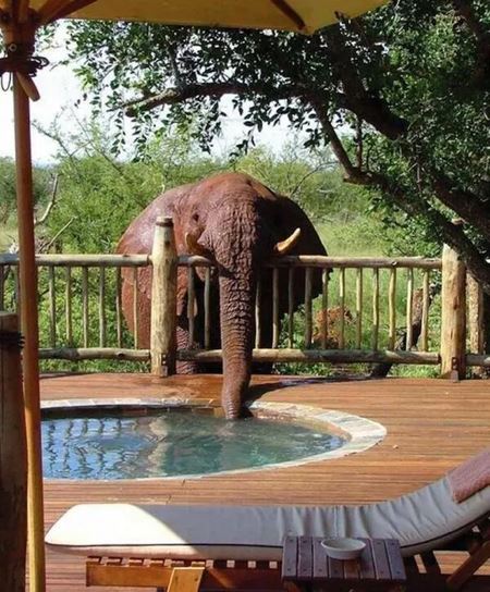 Poviano�n� v�kendovky  