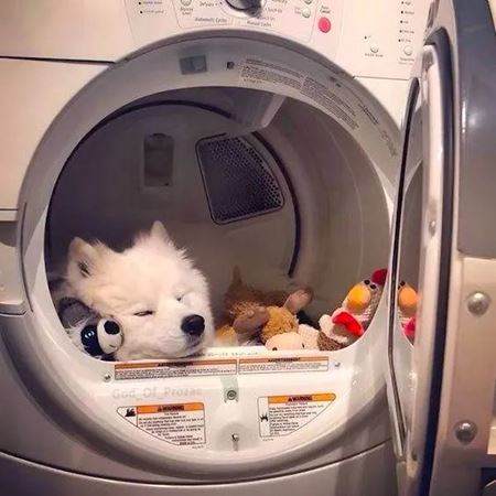 Poviano�n� v�kendovky  