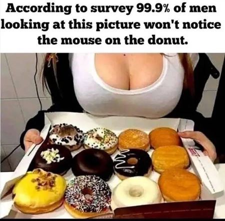 Poviano�n� v�kendovky  