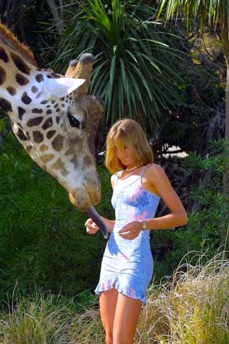 Poviano�n� v�kendovky  