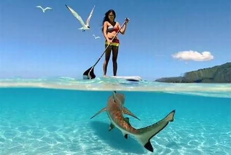 Poviano�n� v�kendovky  