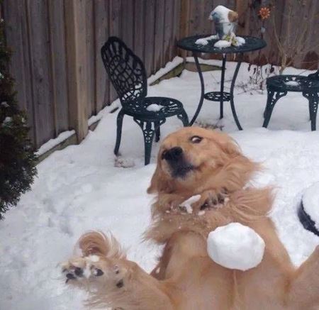 Poviano�n� v�kendovky  