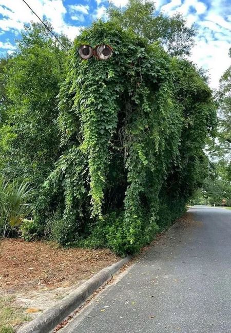 Poviano�n� v�kendovky  