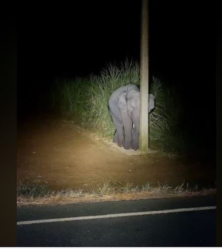 Poviano�n� v�kendovky  