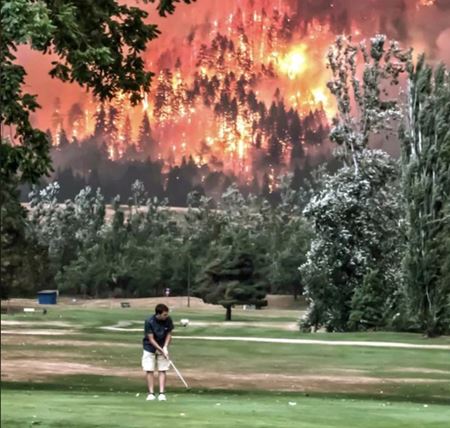 Poviano�n� v�kendovky  