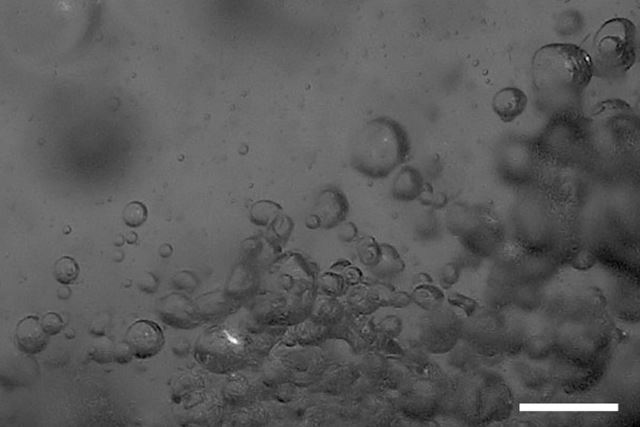 Zem v roku 2025: čo nové vedci zistili o našej planéte? 