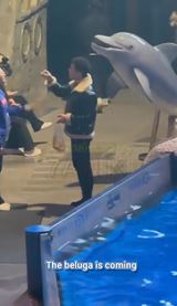 Ke fajiar neuposlchol, prichdza zsah