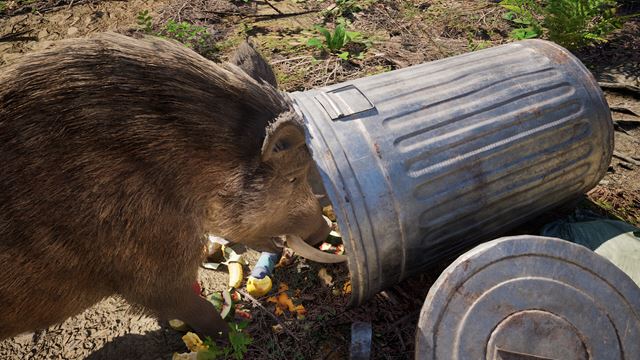 Wild Terrain z v�s urob� div� svi�u na ceste za dobrodru�stvom 