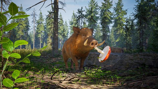 Wild Terrain z v�s urob� div� svi�u na ceste za dobrodru�stvom 