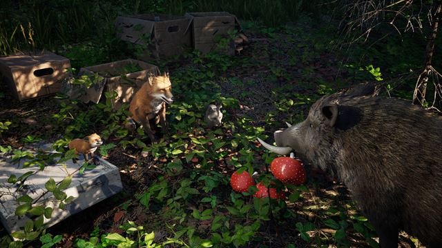 Wild Terrain z v�s urob� div� svi�u na ceste za dobrodru�stvom 