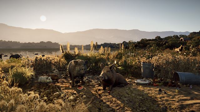 Wild Terrain z v�s urob� div� svi�u na ceste za dobrodru�stvom 