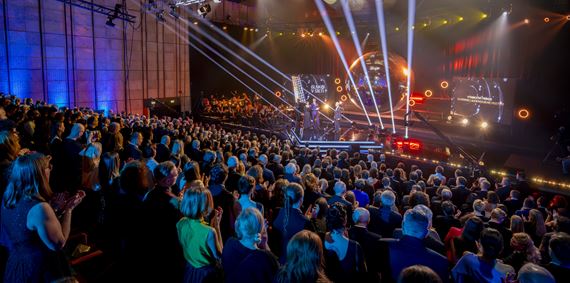 Národné filmové ceny Slnko v sieti za rok 2024 si podmanila snímka Vlny, získala až 9 ocenení