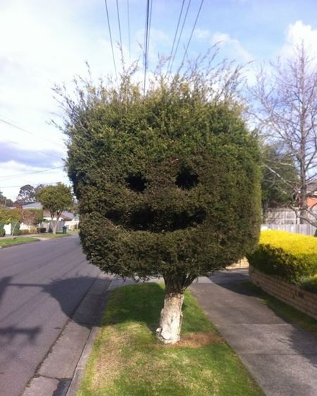 Vkendovky  