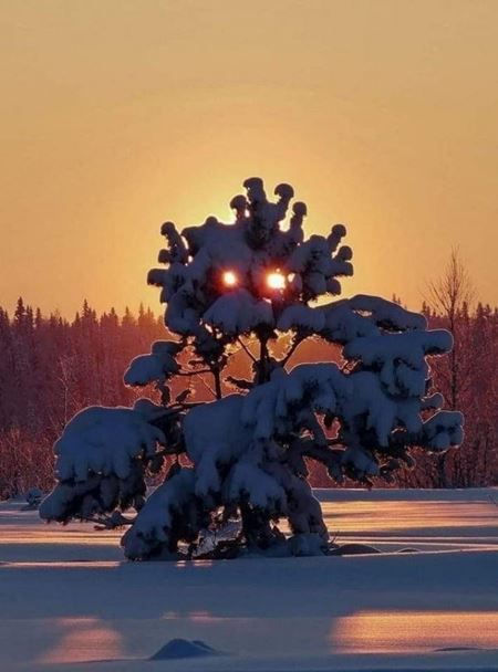Vkendovky  