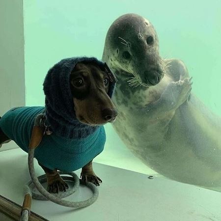 Vkendovky  