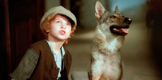 Film Prpad Barnab Kos a alie slovensk diela vyli exkluzvne na blu-ray nosioch v zahrani