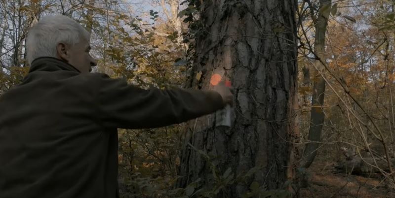 o sa deje v slovenskch lesoch? Do kn prichdza HLAS LESA Zuzany Piussi 