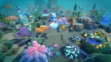 Life Below bude zachraova ivot v ocene a eli podmorskm vzvam
