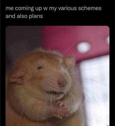 Vkendovky  
