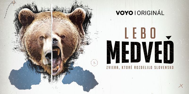 Slovci v tom maj jasno: Medve do prrody patr! Ale o s tmi, ktor sa k uom a privemi pribliuj?