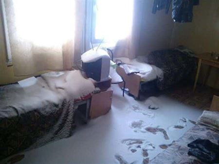 Nehody sa stvaj  