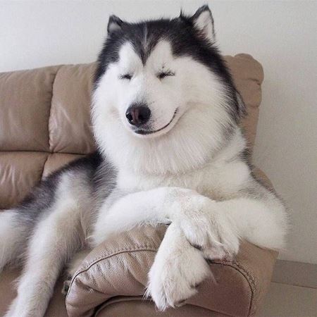 Vkendovky  
