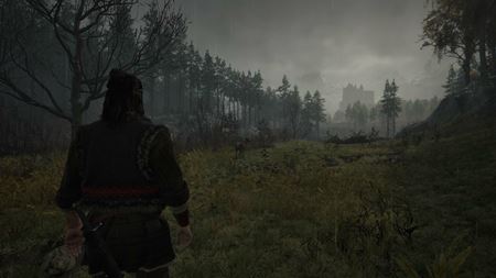 The Blood of Dawnwalker ukzal svoj gameplay  