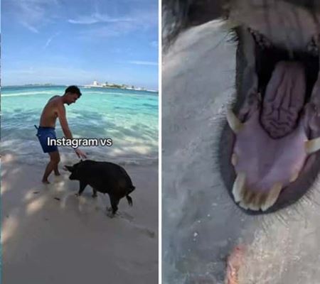 Instagram vs realita  