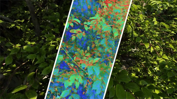 Intel priniesol nov AI nstroj na meranie kvality obrazu v hrch