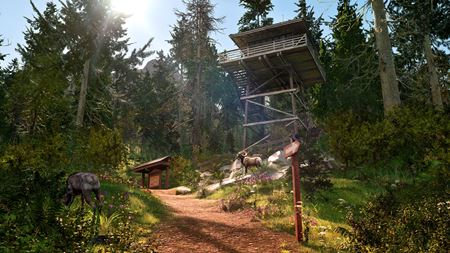 Slovensk tdio To-Go Games predstavuje Rangers Path: National Park Simulator  