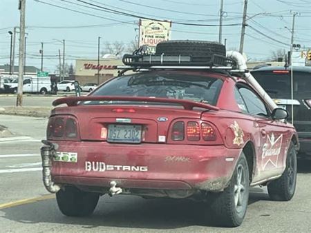 Na cest�ch stretnete v�eli�o  