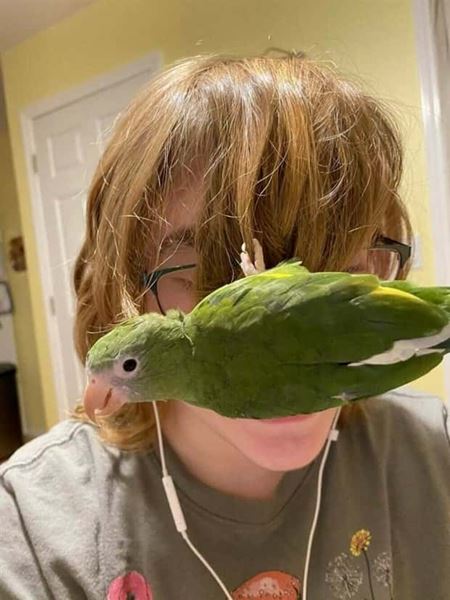 Z�bavn� zvieratk�  