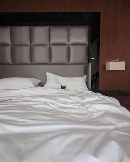 Z�bavn� zvieratk�  