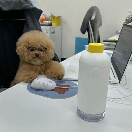 Z�bavn� zvieratk�  