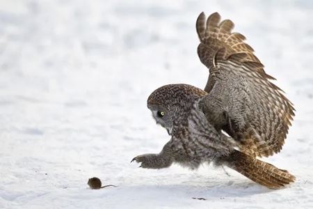 Sekundy pred katastrofou  