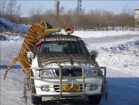 Sekundy pred katastrofou  