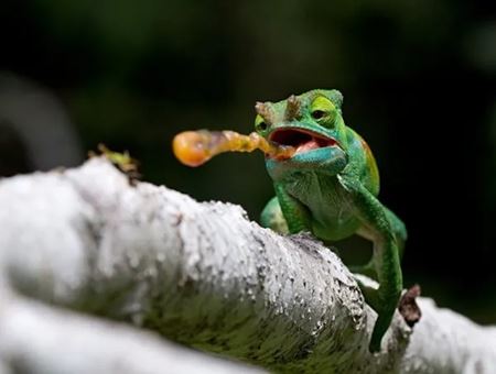 Sekundy pred katastrofou  