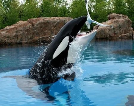 Sekundy pred katastrofou  