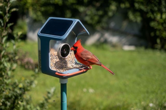 Zauj�mav� smart novinky z CES  