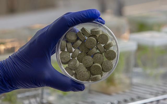 Prídu antivírusové žuvačky proti chrípke? 