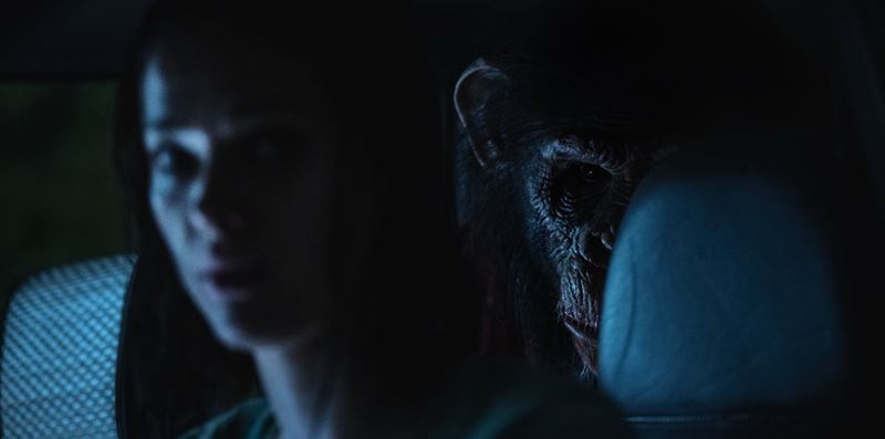 Do k�n prich�dza Prim�t, dom�ci mil��ik, ktor� sa zmen� na mon�trum