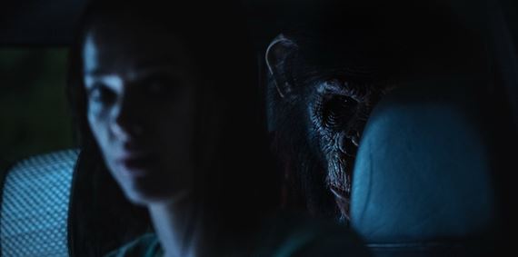 Do kín prichádza Primát, domáci miláčik, ktorý sa zmení na monštrum