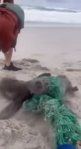 Hlavne, �e m�me papierov� slamky